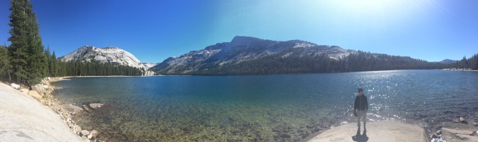 Tenaya Lake Yosemite phyllthis