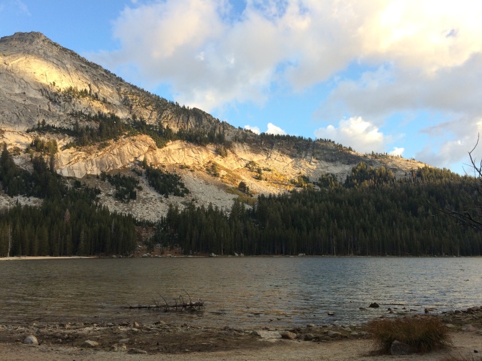 Tenaya Lake Yosemite phyllthis